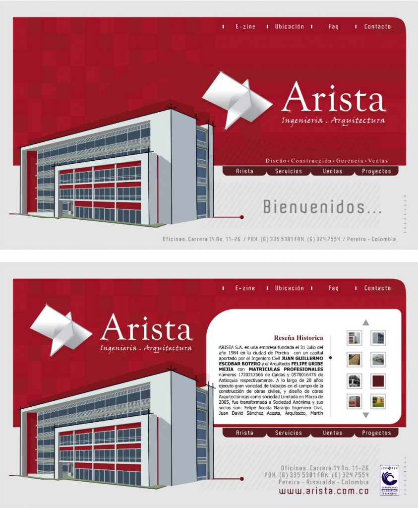 arista diseño de páginas web pereira