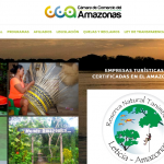 Cámara de Comercio de Amazonas 1