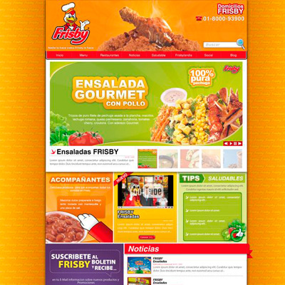 diseño de páginas web frisby sa