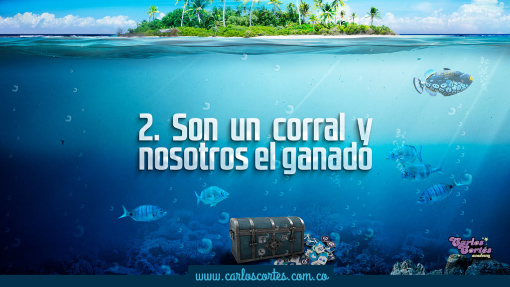 Las redes sociales son un corral y nosotros el ganado