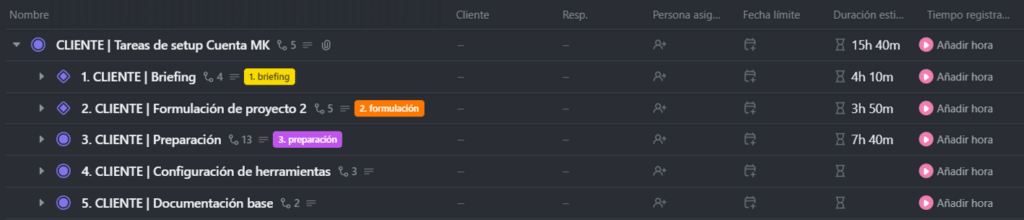 Gestión de un proyecto de marketing digital. Tareas de setup