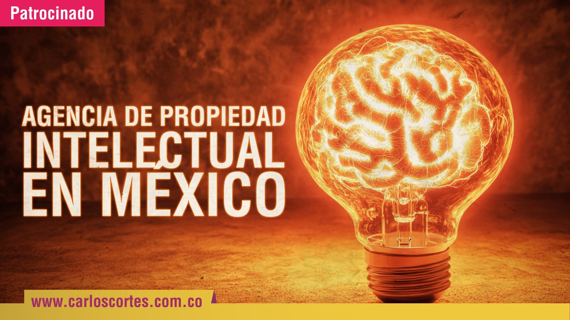 Agencia de propiedad intelectual en mexico